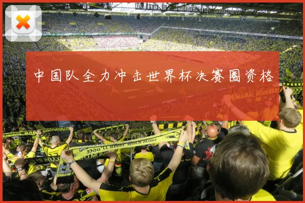 中国队全力冲击世界杯决赛圈资格