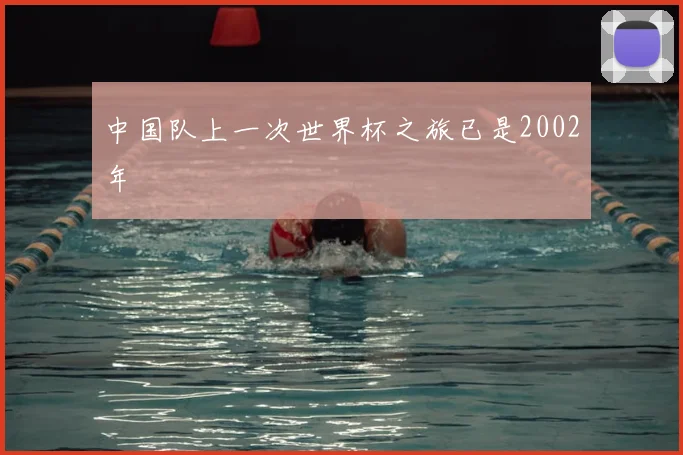 中国队上一次世界杯之旅已是2002年