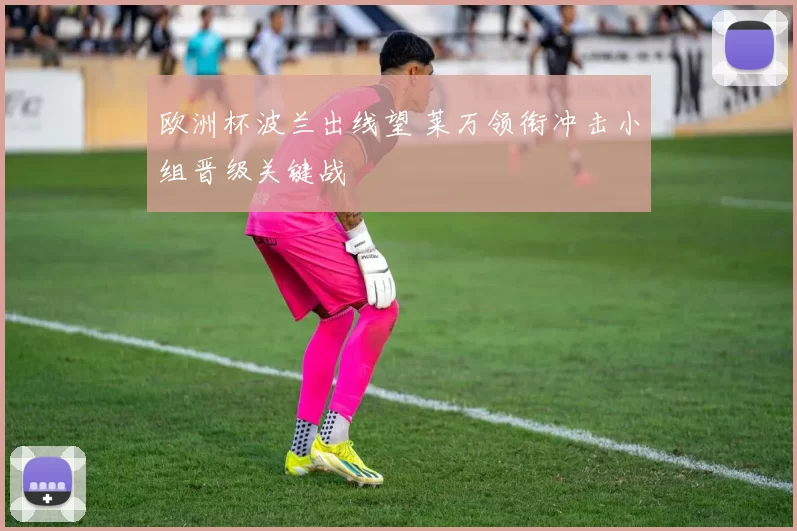 欧洲杯波兰出线望 莱万领衔冲击小组晋级关键战