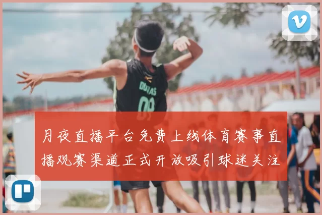 月夜直播平台免费上线体育赛事直播观赛渠道正式开放吸引球迷关注