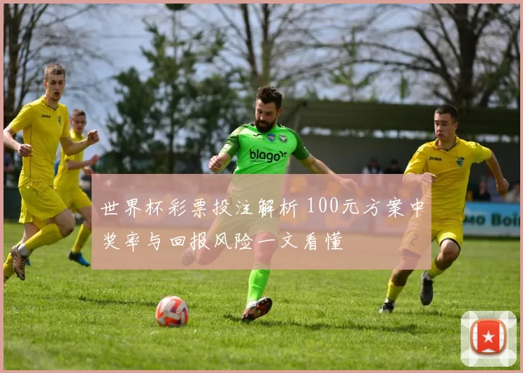 世界杯彩票投注解析 100元方案中奖率与回报风险一文看懂
