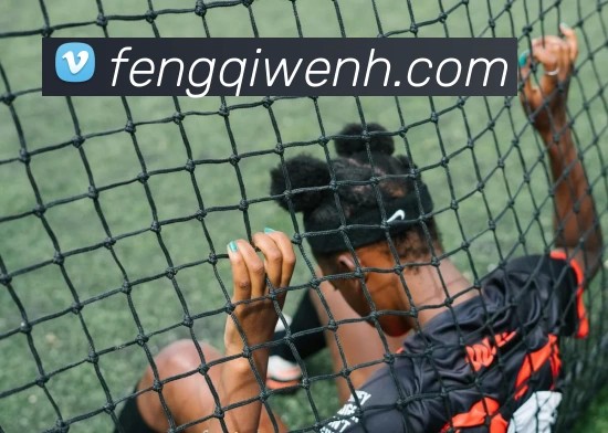 bsports网页版在线登录入口 - b(中国)平台生态图