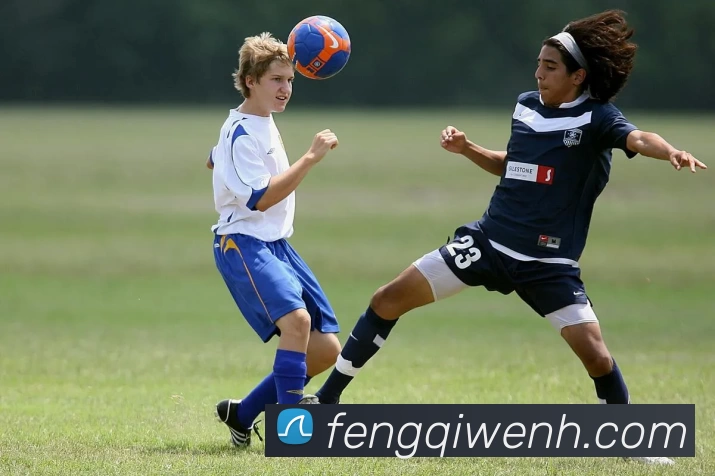 bsports网页版在线登录入口 - b(中国)全站App bsports网页版在线登录入口 - b(中国)全站App